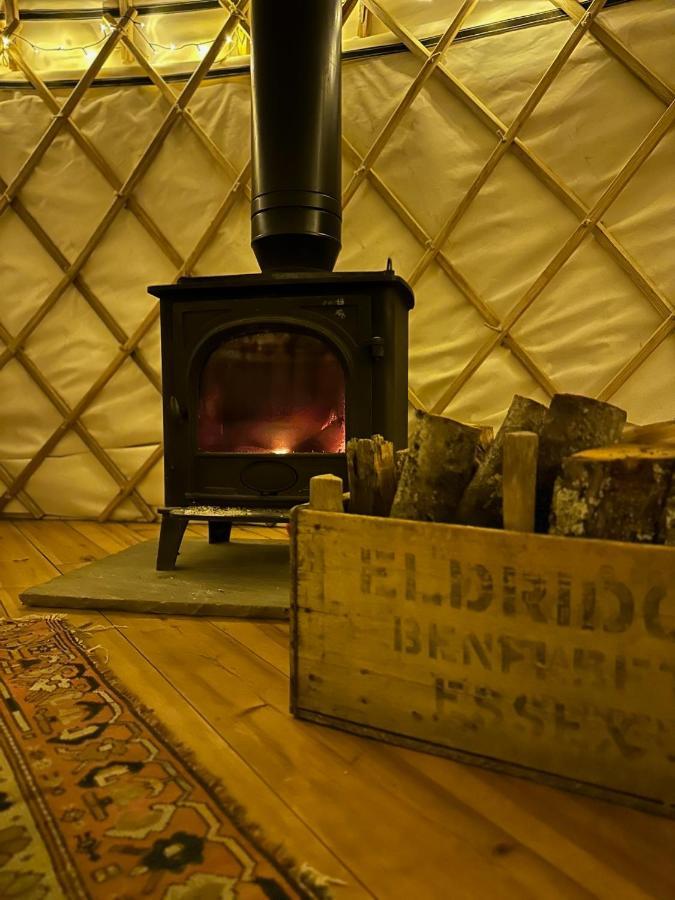 Готель Bracken Yurt At Walnut Farm Glamping Netherbury Екстер'єр фото