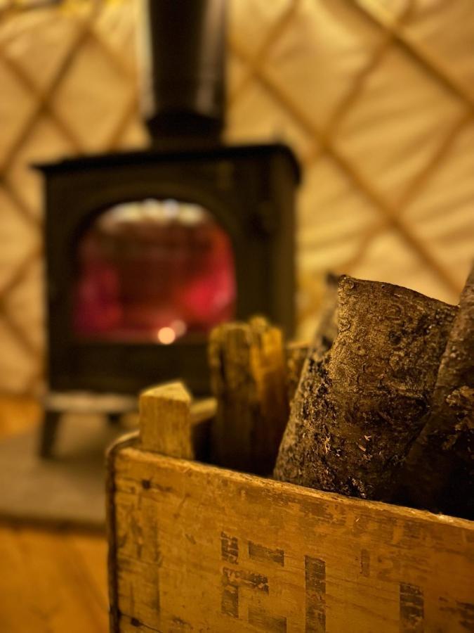 Готель Bracken Yurt At Walnut Farm Glamping Netherbury Екстер'єр фото